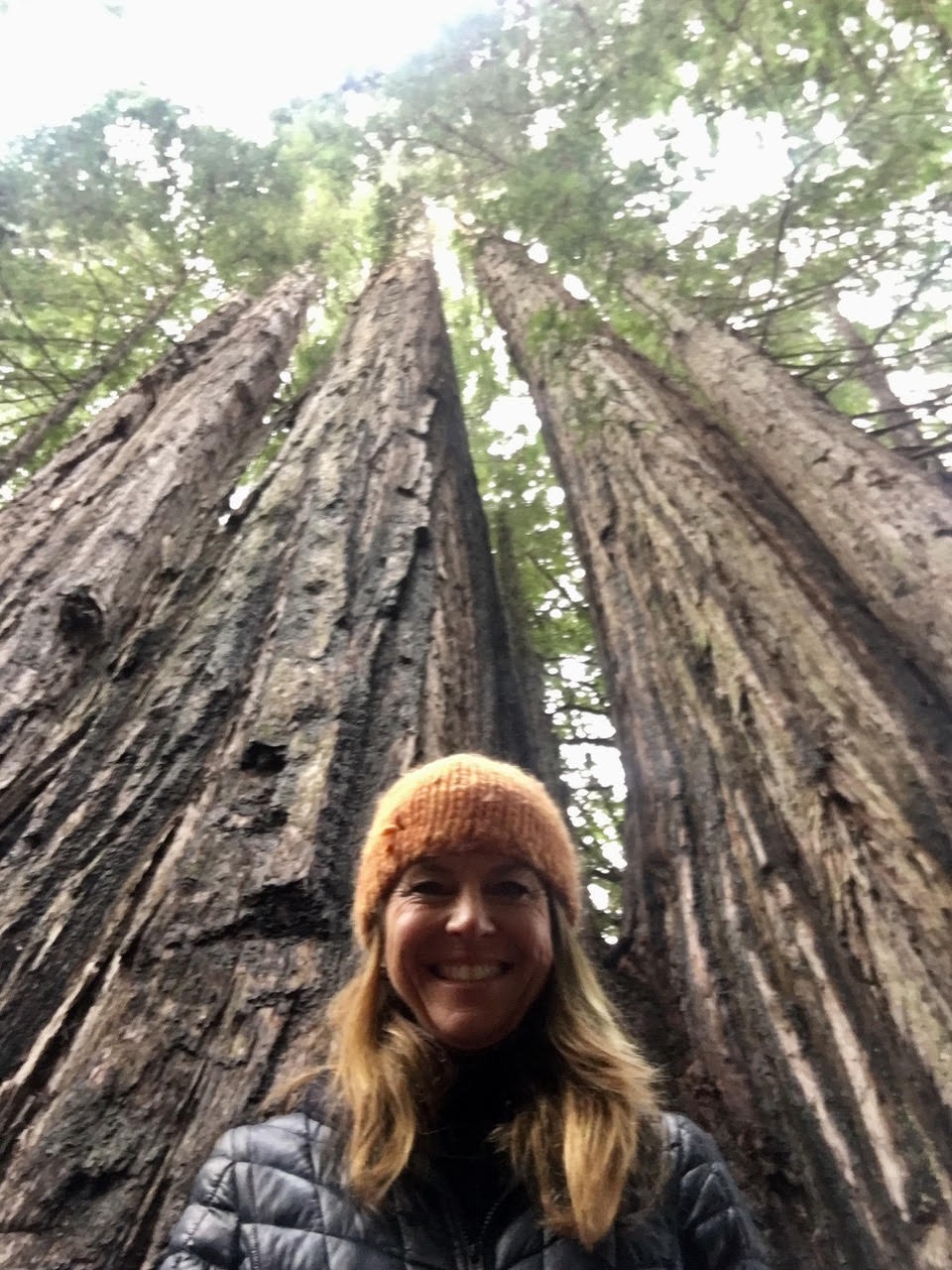 Woman in an orange knit hat smiling beneath towering redwood trees