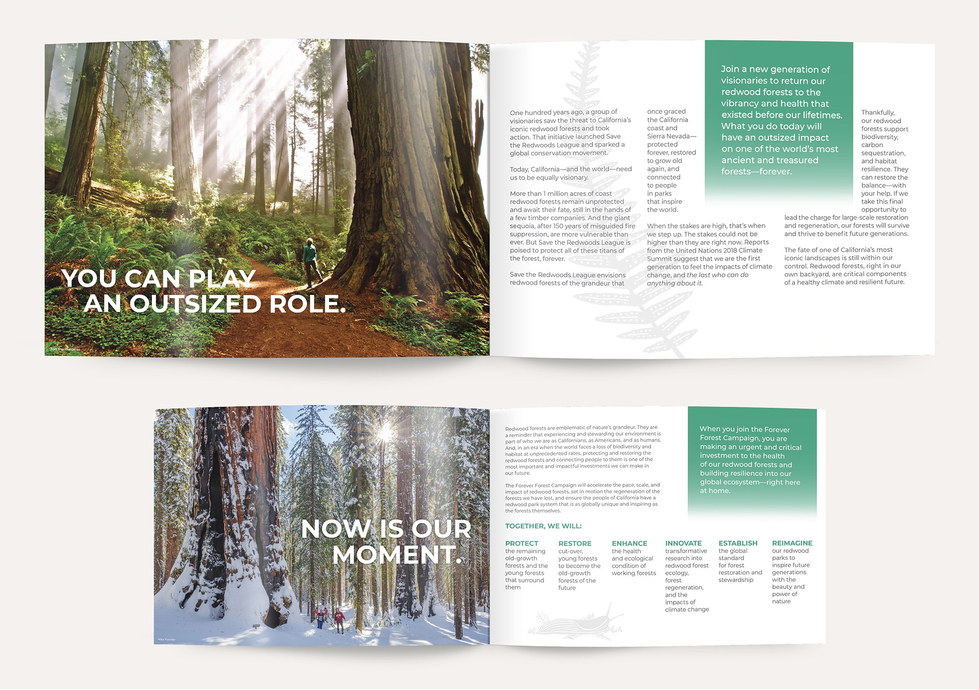 Spread from a Save the Redwoods League report with redwood forest photos and headings