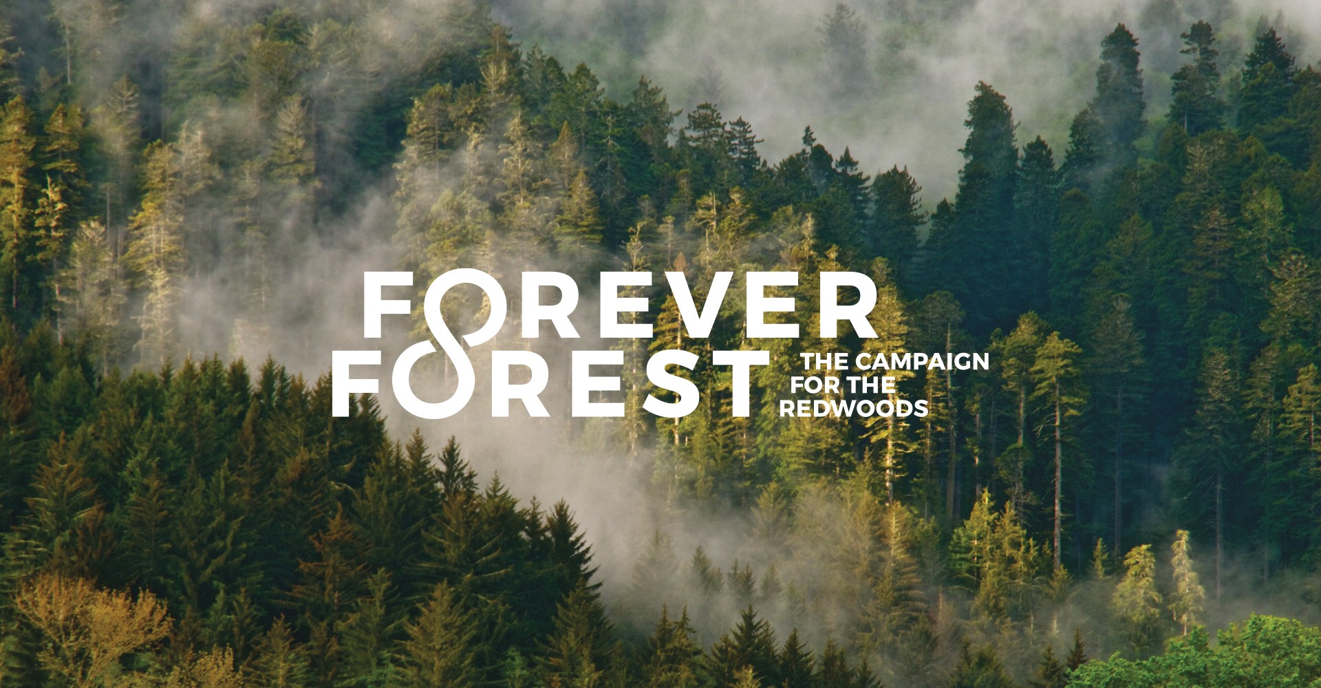 Forever Forest campaign logo over an aerial photo of a misty forested hillside